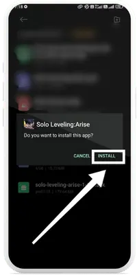 Solo Leveling Arise APK12