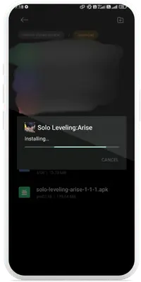 Solo Leveling Arise APK5